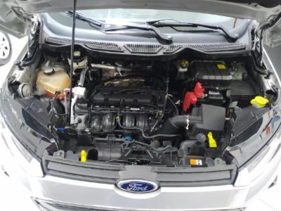 Ecosport freestyle - thumb 4