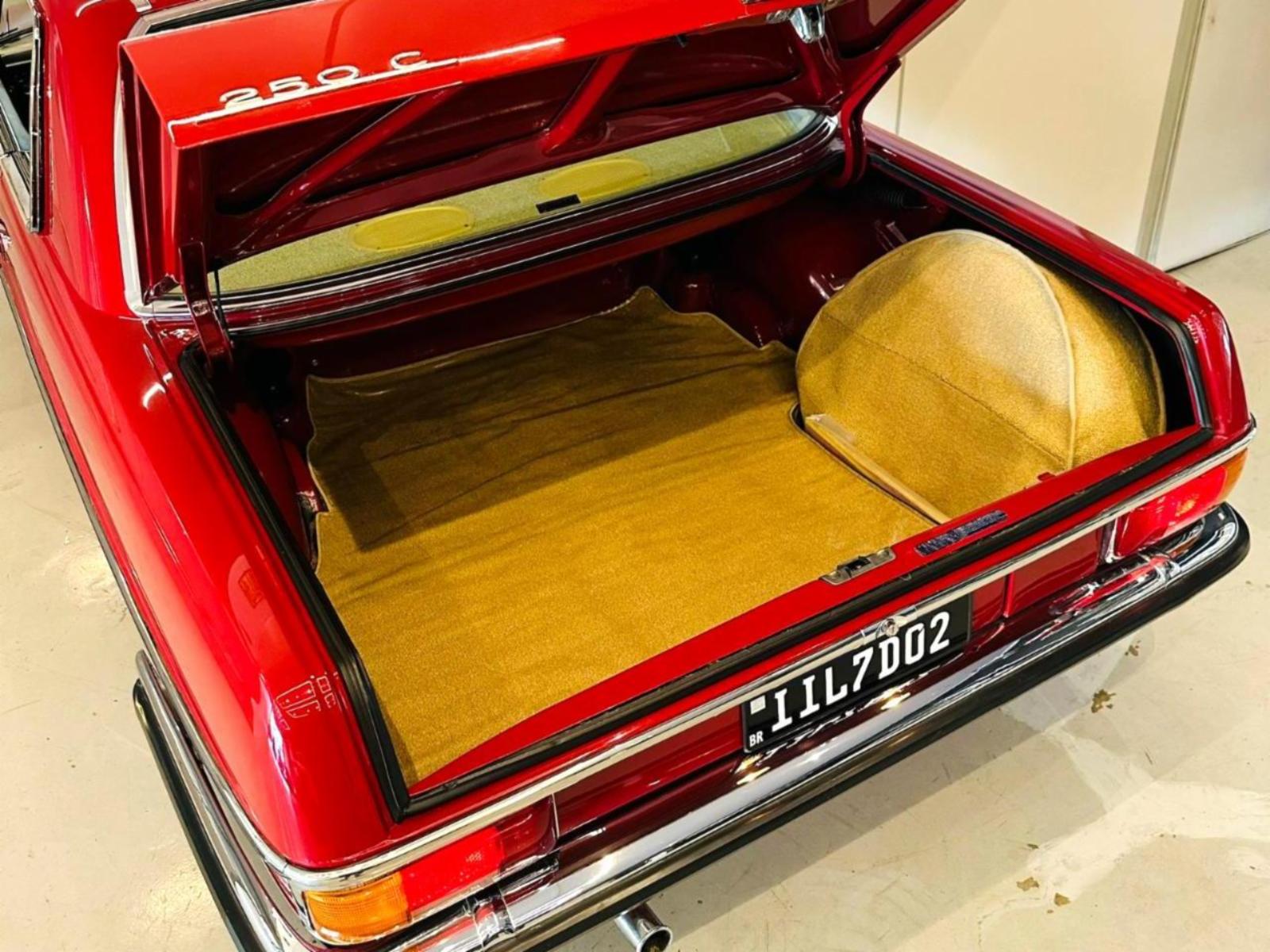 250 c - foto 5