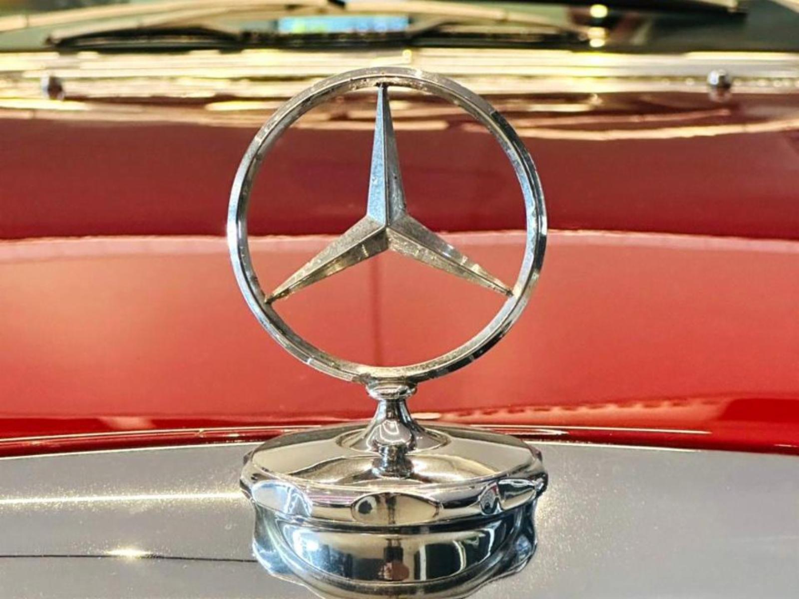 250 c - foto 11