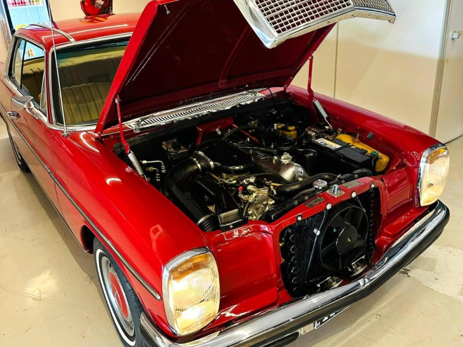 250 c - foto 15