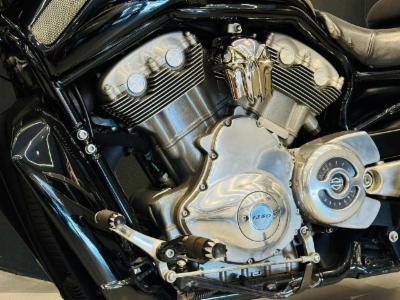 V-rod 1250cc - thumb 5
