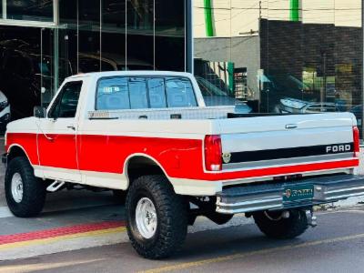 F-1000 xlt - thumb 13