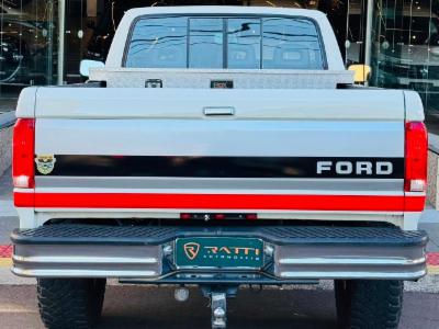 F-1000 xlt - thumb 14