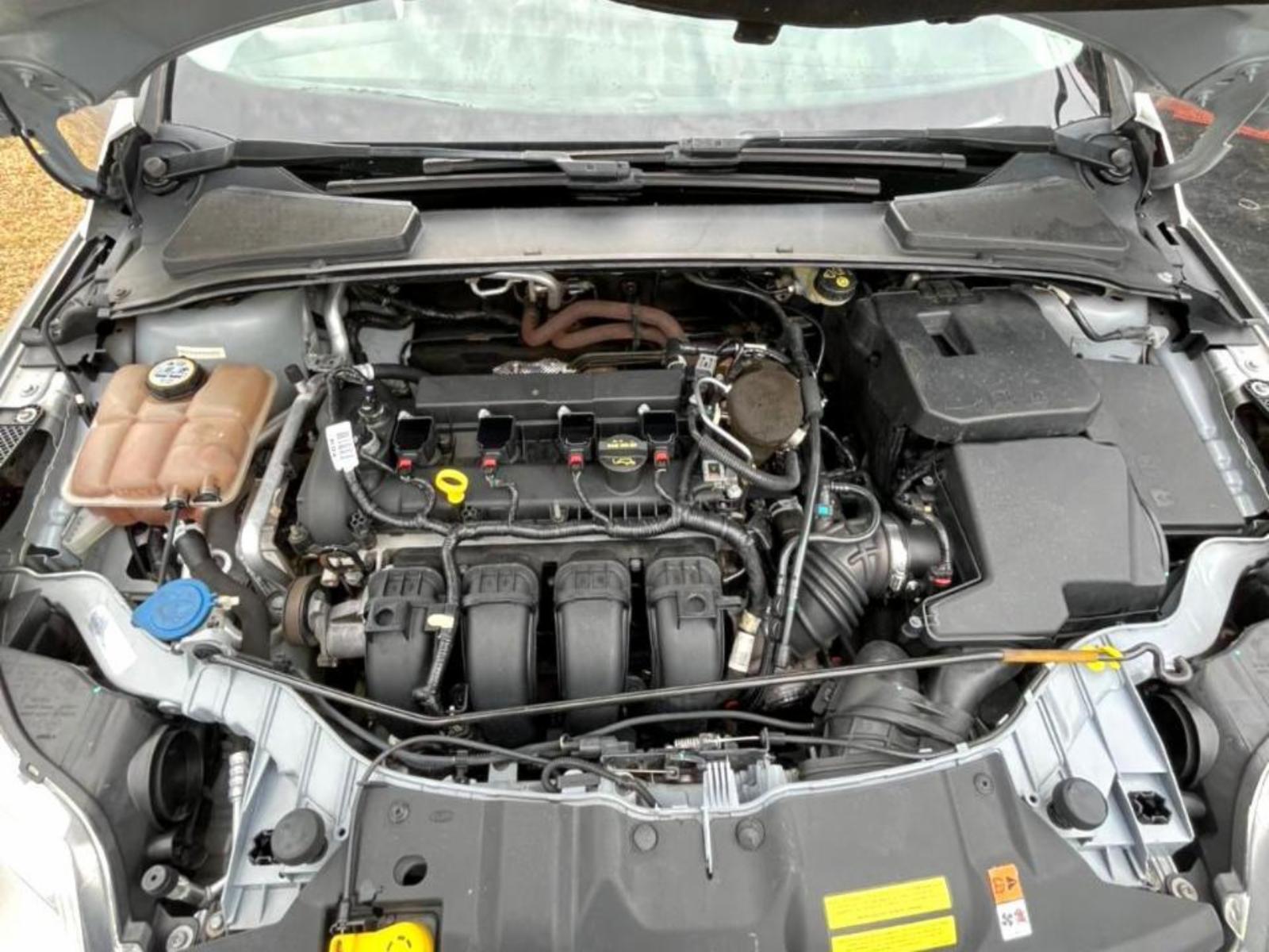 Focus titanium - foto 17