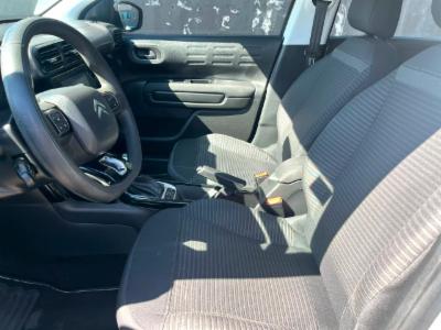 C4 cactus - thumb 2