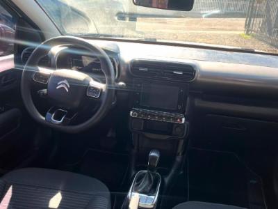 C4 cactus - thumb 3