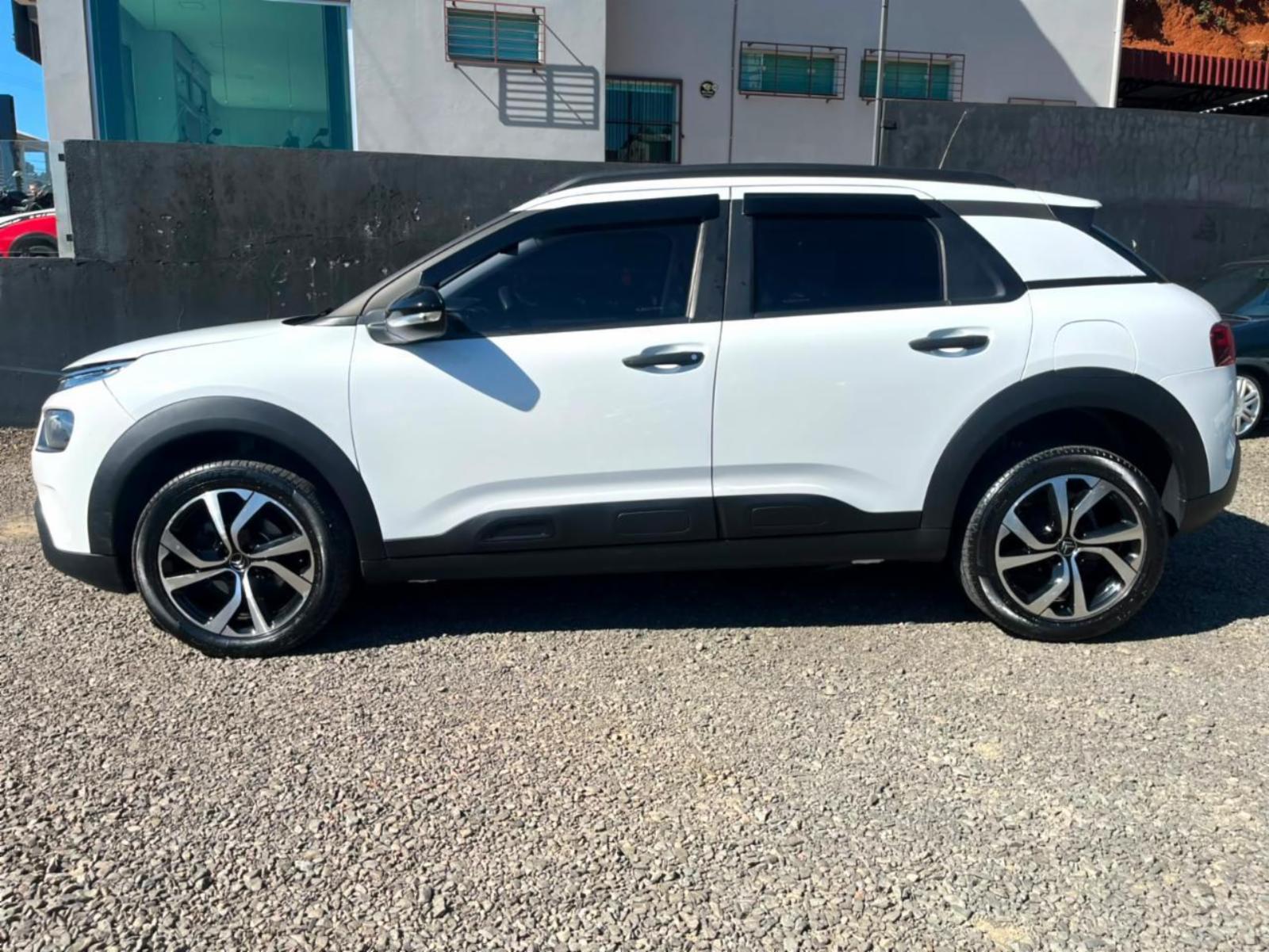 C4 cactus - foto 4