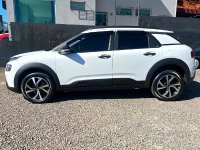C4 cactus - thumb 4