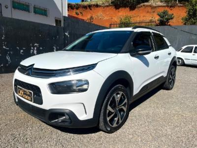 C4 cactus - thumb 1