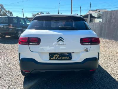 C4 cactus - thumb 5