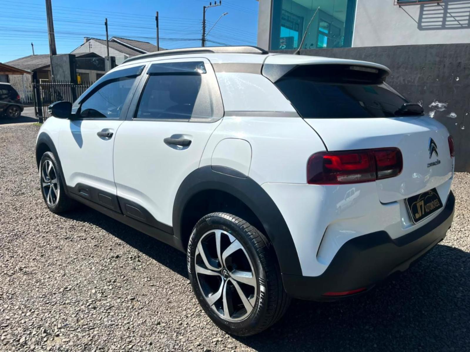 C4 cactus - foto 7