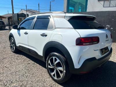 C4 cactus - thumb 7