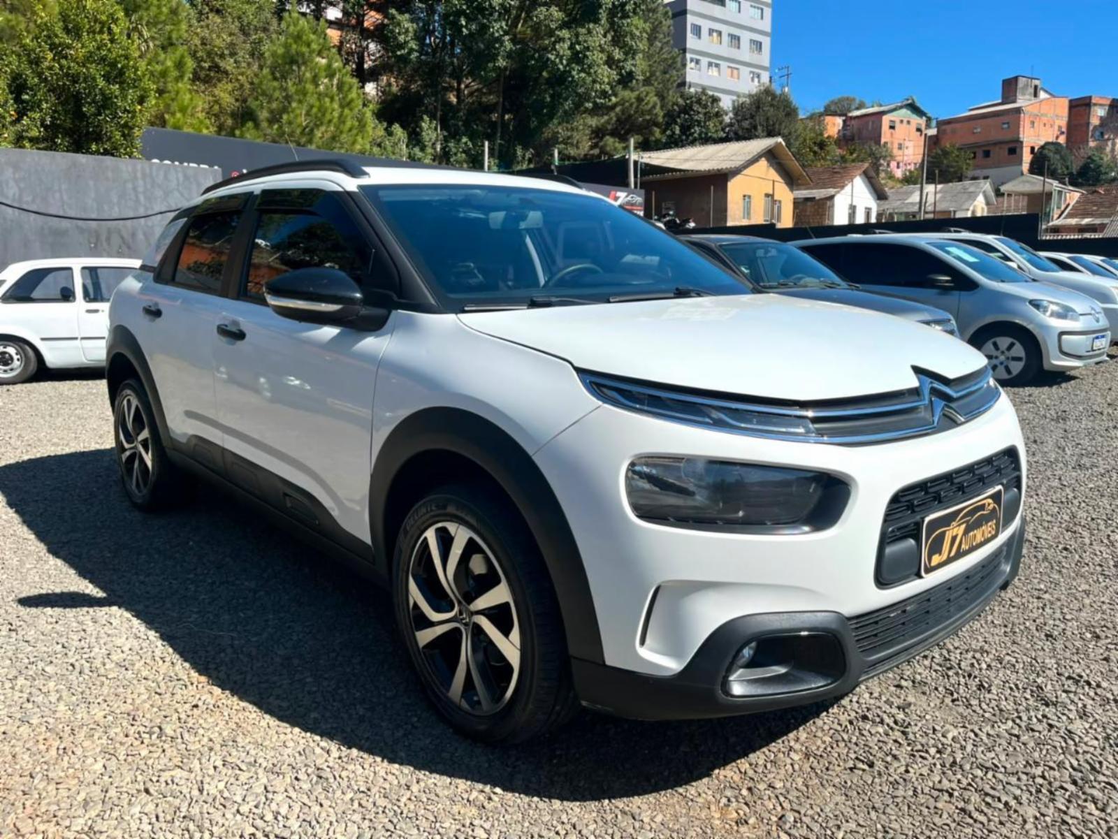 C4 cactus - foto 8