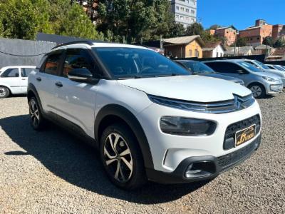 C4 cactus - thumb 8