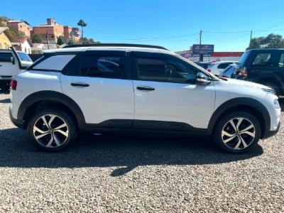 C4 cactus - thumb 9