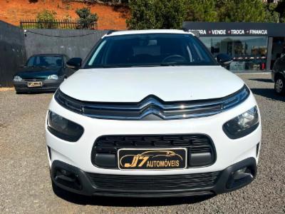 C4 cactus - thumb 10