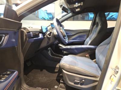 Dolphin mini - thumb 8