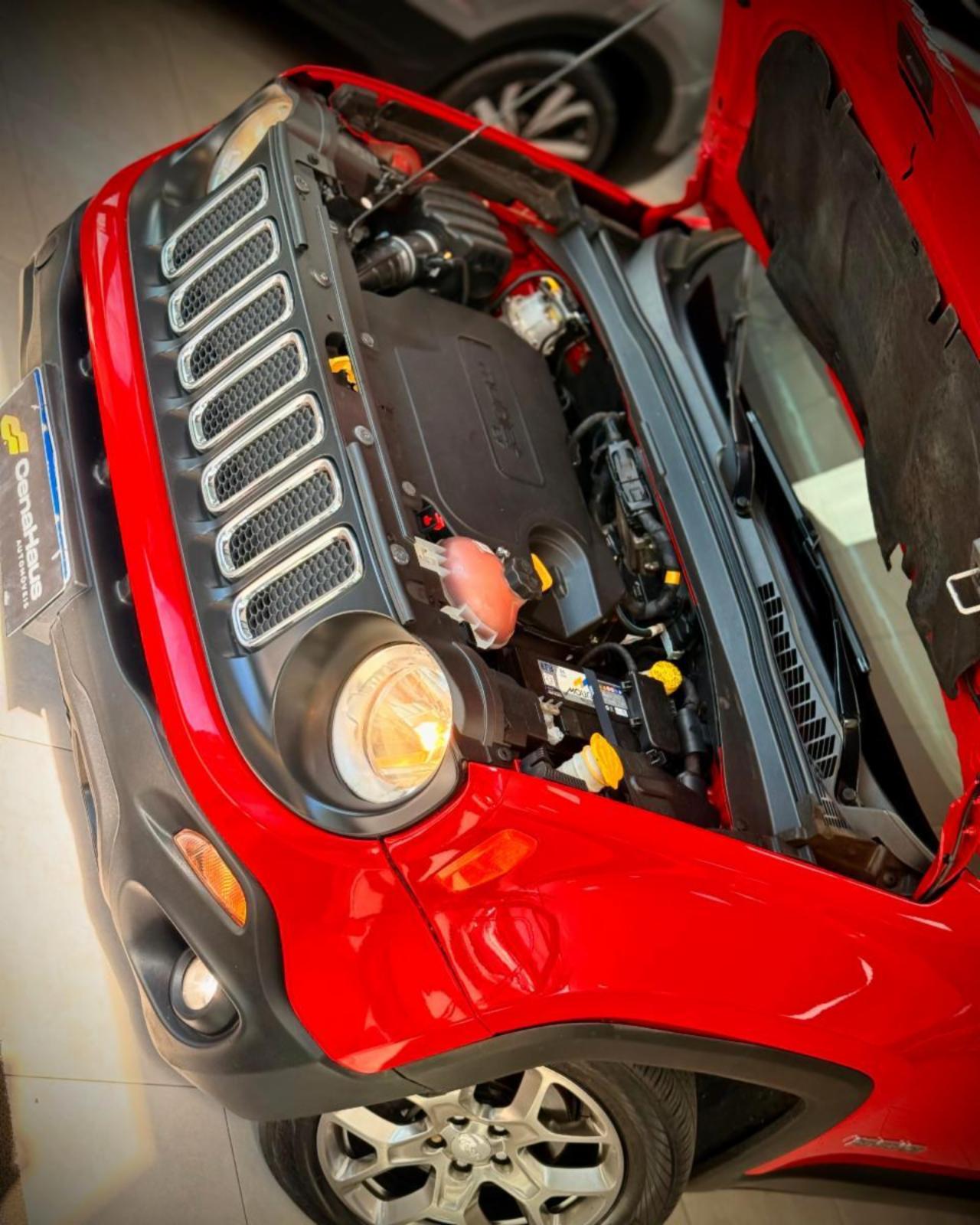 Renegade longitude - foto 6